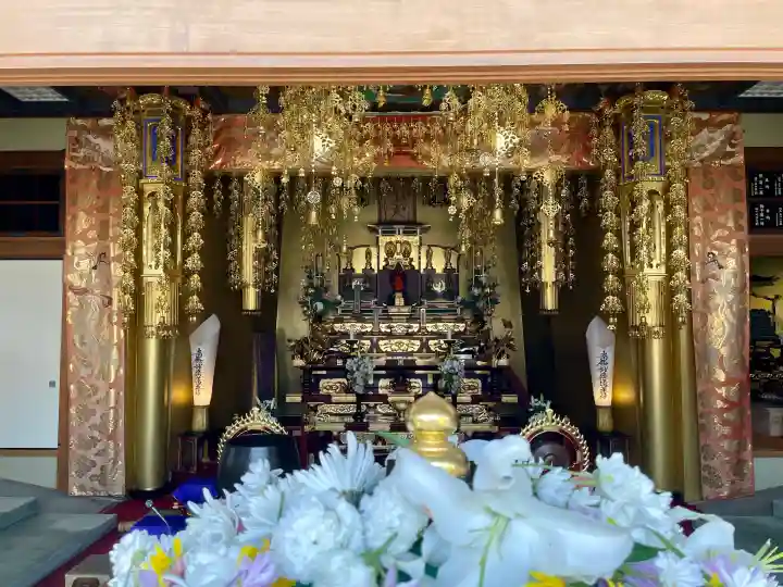 本立寺の{uncategorized: "未分類", other: "その他", undefined: "問題あり", building: "その他建物", grave: "お墓", sacred_gate: "鳥居", guardian: "狛犬", statue: "像", buddha: "仏像", history: "歴史", nature: "自然", garden: "庭園", animal: "動物", pagoda: "塔", temizu: "手水舎", mountain_gate: "山門・神門", sanctuary: "本殿・本堂", subordinate: "末社・摂社", art: "芸術", scenery: "景色", jizo: "地蔵", ema: "絵馬", goshuin: "御朱印", omikuji: "おみくじ", items: "授与品その他", amulet: "お守り", goshuincho: "御朱印帳", eats: "食事", festival: "お祭り", votive_dance: "神楽", shichigosan: "七五三参", wedding: "結婚式", experience: "体験その他", initially: "初詣", around: "周辺", anti_infection: "感染症対策"}