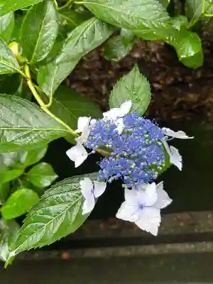 粟井神社(香川県)