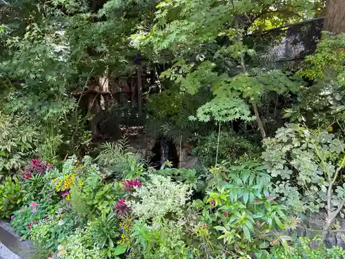 東京大神宮の自然