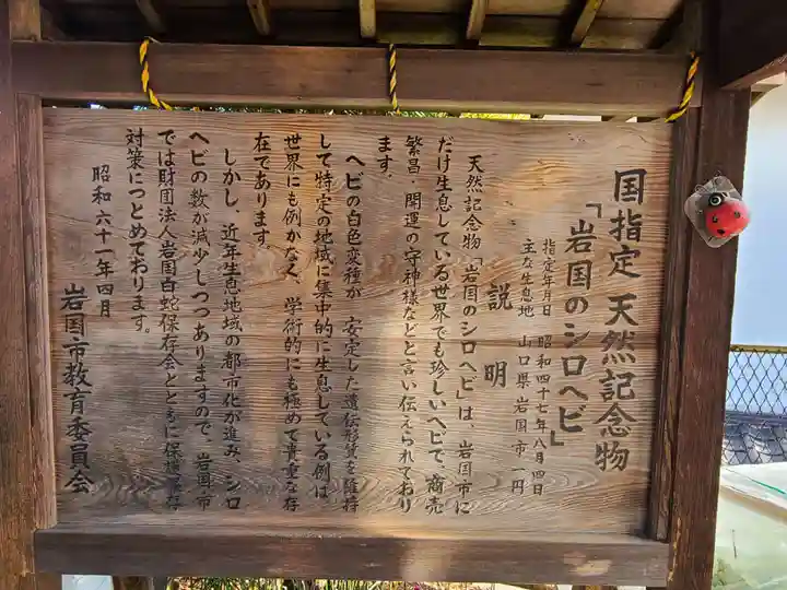岩国白蛇神社の歴史