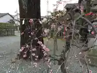 塩屋八幡宮(熊本県)
