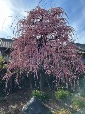 光源寺(東京都)