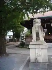 鎧神社の狛犬