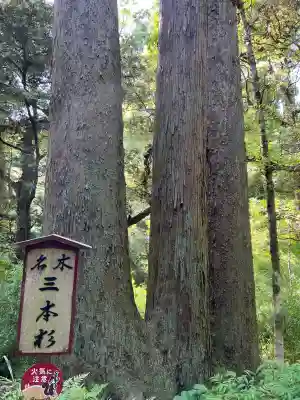 笠森寺(千葉県)