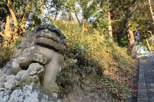 阿久津「田村神社」（郡山市阿久津町）旧社名：伊豆箱根三嶋三社の狛犬