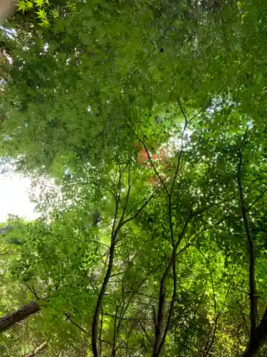 滑川神社 - 仕事と子どもの守り神の周辺