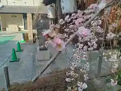 天神社の自然