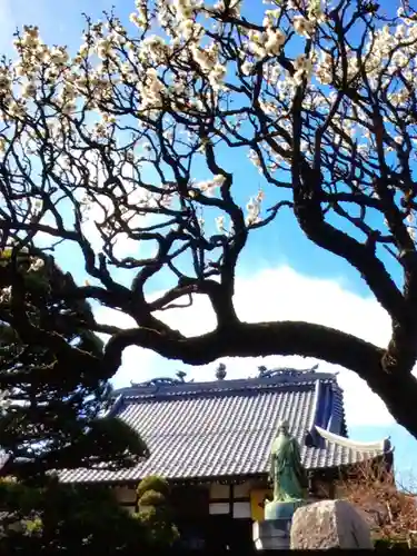 長善寺(東京都)