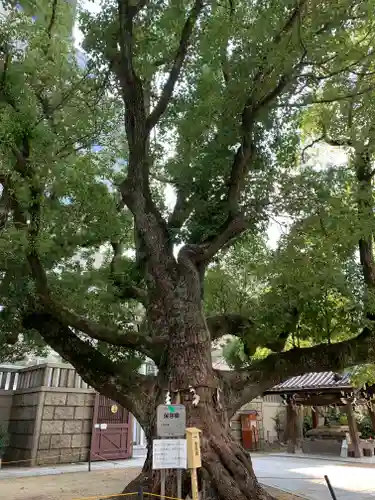 難波神社の自然