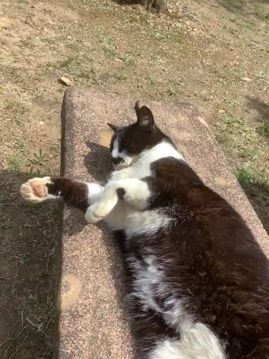 玉野御嶽神社の動物
