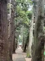 日吉神社(千葉県)