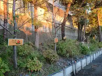 善林寺(愛知県)