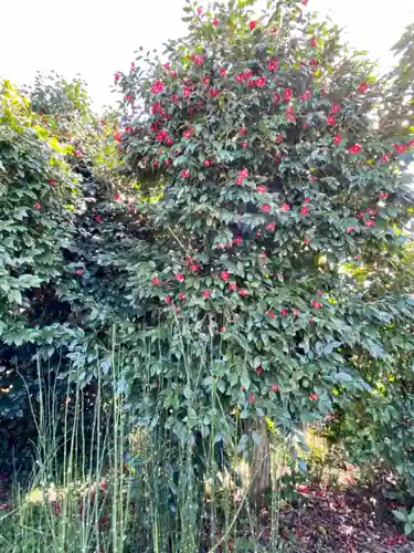 南明禪院（南明院）の自然