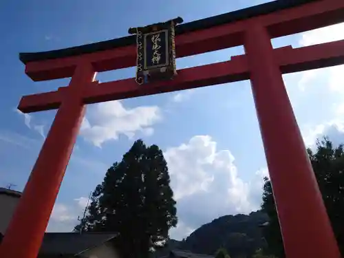 松尾大社の鳥居