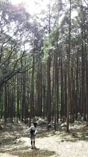 渭伊神社の自然