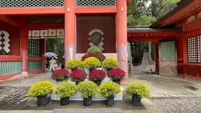 鹿島神宮の山門・神門