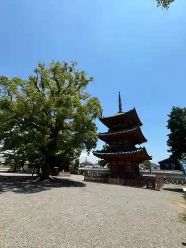 斑鳩寺の塔