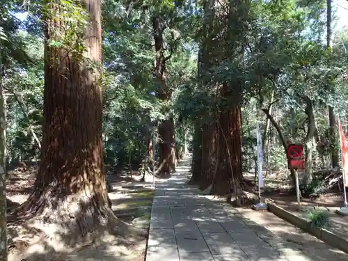 日吉神社の自然
