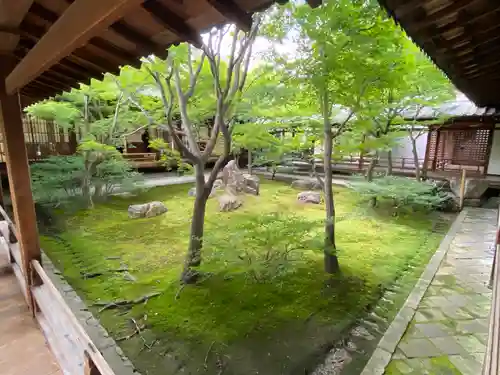 建仁寺（建仁禅寺）の庭園