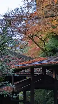 青蓮院門跡(京都府)