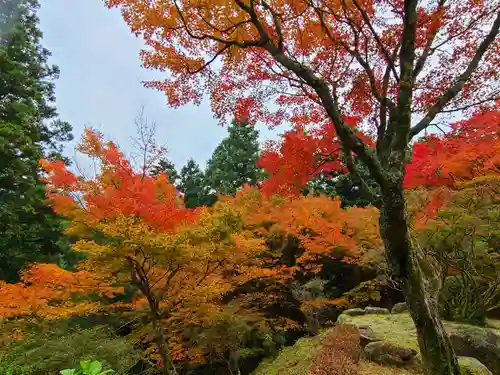 千如寺大悲王院(福岡県)