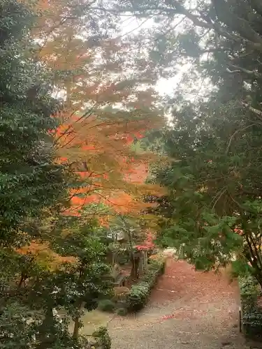 胡宮神社（敏満寺史跡）(滋賀県)