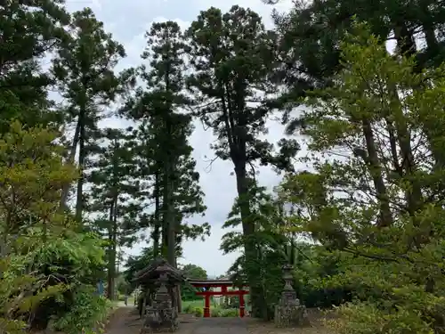 滝口神社の鳥居