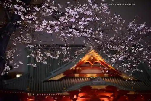 神田神社（神田明神）の自然