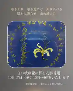 谷中 妙福寺の御朱印 2025年10月17日(金)〜(2025年10月15日(水) 21時12分28秒投稿)