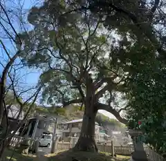 志筑別神社(兵庫県)