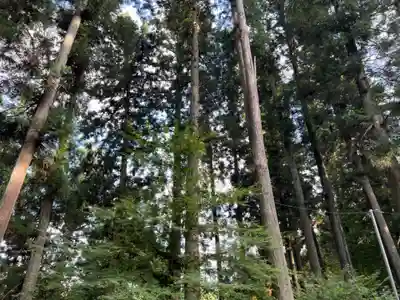 大宮温泉神社(栃木県)