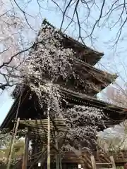 真正極楽寺（真如堂）の塔