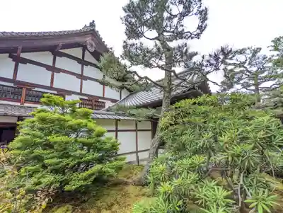 大雄院(京都府)