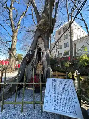 秩父今宮神社(埼玉県)