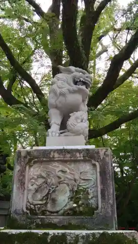 八坂神社(祇園さん)の狛犬
