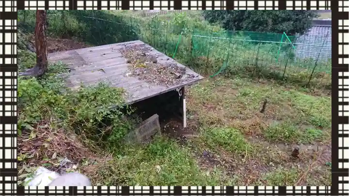 賀茂別雷神社(栃木県)