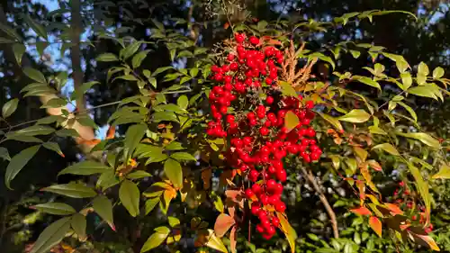 國魂神社(福島県)