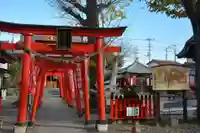 於菊稲荷神社の鳥居