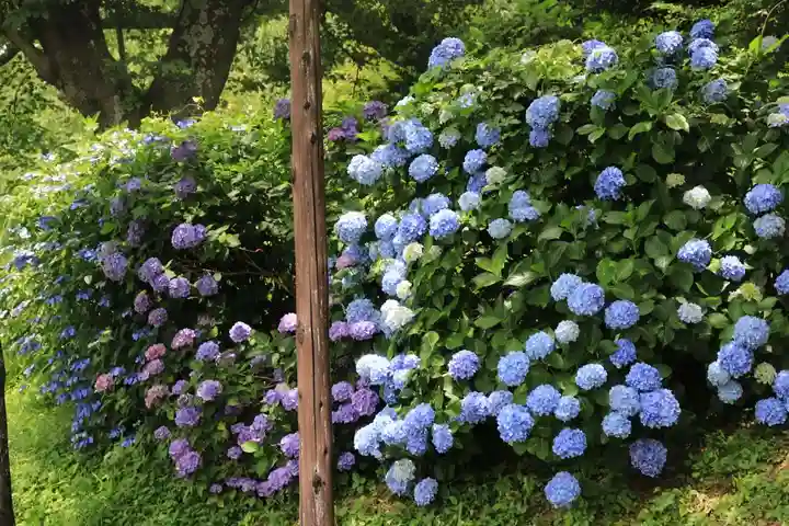 高屋敷稲荷神社の庭園
