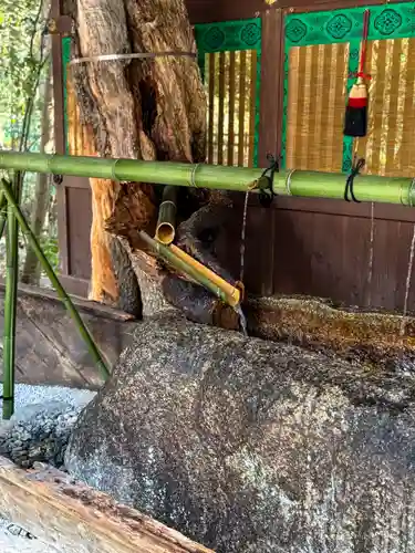 賀茂御祖神社（下鴨神社）(京都府)