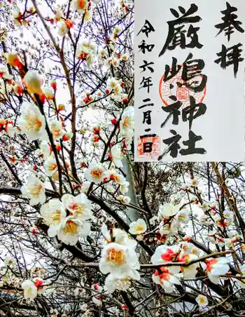 厳嶋神社の御朱印 2024年02月