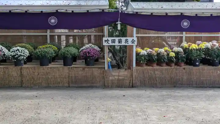 泉殿宮(大阪府)