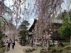 清雲寺の自然