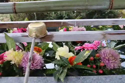 豊景神社の手水