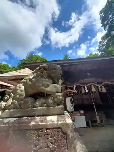 和田神社の狛犬