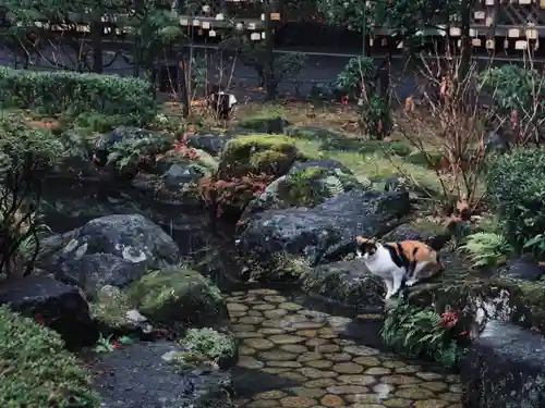 大井神社(静岡県)
