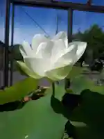 極楽山 浄土寺の自然