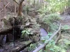 名草厳島神社の自然