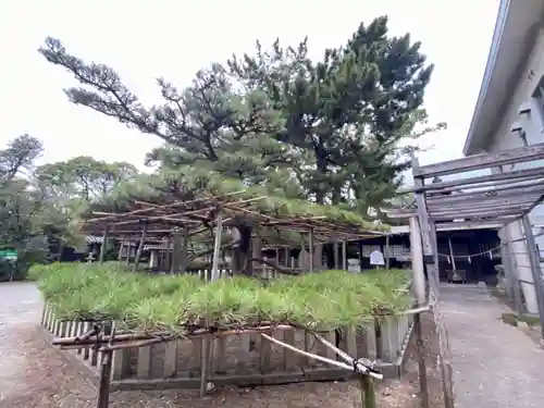 高砂神社(兵庫県)