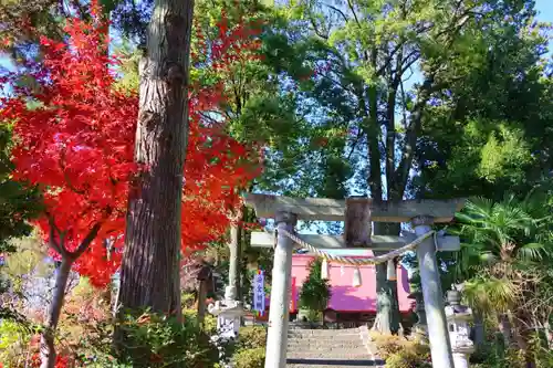 隠津島神社の鳥居